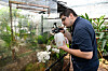 Les employés s’assurent aussi que les terrariums soient bien humides. (Photos Julien Garroy)