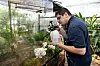 Les employés s’assurent aussi que les terrariums soient bien humides. (Photos Julien Garroy)