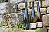 Dans cette aventure vinicole, ils sont deux à s’occuper du domaine de Fru, en plus des amis et de la famille.