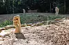 Tom Flick et Dorun Nuta ont sculpté des statues qui bordent le sentier forestier réamménagé par la commune.