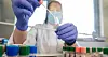 Pour l'agence européenne, 'les infections potentielles' pouvant être importées sont 'plutôt faibles' par rapport au nombre d'infections circulant déjà au quotidien.