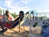 Les questions sur les guêpes ne manquent pas... les bénévoles, si.