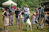 Les animaux de la ferme restent l’attraction privilégiée des enfants, qui, souvent, ne veulent plus quitter leurs nouveaux amis. (photos Tania Feller)