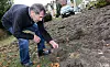 Les sangliers provoquent l’ire des habitants du quartier Jeanne-d’Arc à Saint-Avold.