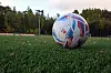 Le Fola a été présidé pendant dix ans par Gérard Lopez avant que celui-ci ne prenne la tête du LOSC.