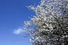 De rares cumulus, des vents très faibles et pas une seule perturbation pour venir gâcher le tableau