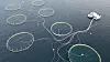 Une vue aérienne prise le 5 février 2024 montrant la ferme aquacole Oksebasen, exploitée par le plus grand producteur mondial de saumon atlantique Mowi, à Giske, en Norvège.