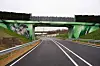 Les panneaux sur la passerelle éviteront que les chauves-souris ne soient aveuglées par les phares des véhicules.