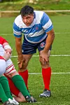gillespie