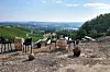 Le 15 août, il faisait beau et les tables étaient installées dehors. Cette fois, la dégustation se fera à l’intérieur, dans le chantier !