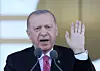'Cette question n'a rien à voir ni de près, ni de loin, avec une cour de justice', a taclé Erdogan. (archives AFP)