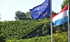 Cette proposition se base sur la décision récente de l'appellation d'origine protégée italienne Prosecco qui s'apprête à interdire l'utilisation de produits contenant du glyphosate (herbicide), du folpet et du mancozèbe (fongicides).