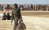 L'alliance arabo-kurde des Forces démocratiques syriennes s'apprête à proclamer la victoire sur l'EI, mais avec le retrait des troupes américaines, elle apparaît paradoxalement plus fragile que jamais.