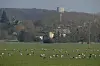Ces migrateurs viennent le plus souvent d'Espagne ou du Sud de la France.