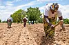 L’agriculture reste la source de revenu principal des habitants en zone rurale dans les pays en développement.