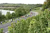 Comme en 2020, la Route du Vin n'aura pas lieu en septembre prochain (Photo d'archives : Julien Garroy)