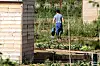 L’arrosage des jardins est désormais interdit entre 11 h et 18 h. (photo RL/Julio Pelaez)