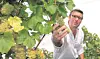 Depuis le laboratoire de l'Institut viti-vinicole de Remich, André Mehlen veille au grain.