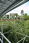 Le laboratoire en forêt du projet Forlux observe et mesure la manière dont réagissent les forêts aux nouvelles conditions météorologiques.