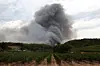 les particules fines produites par la combustion de la végétation lors des incendies de forêt sont 'beaucoup plus toxiques'.