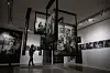 Deux cent soixante-treize des plus grands photographes de la seconde moitié du XXe siècle sont réunis dans «The Family of Man».