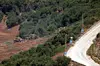 Dans le sud du Liban, des bulldozers blindés D9 de l'armée israélienne sont en train de mener des opérations de défrichage dans une zone boisée.
