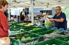 Chez Goldfruits, plus que la mauvaise récolte de cet été, ce sont les crises successives qui nuisent au commerce.