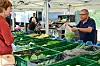 Chez Goldfruits, plus que la mauvaise récolte de cet été, ce sont les crises successives qui nuisent au commerce.