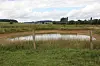Pour le biologiste, la restauration des milieux humides est primordiale à la conservation des espèces locales.