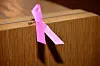 L’évaluation du programme de dépistage organisé du cancer du sein au Luxembourg met en évidence des résultats probants.