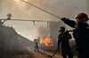 Des pompiers s'efforcent d'éteindre un incendie qui s'est déclaré dans une exploitation d'élevage près de Kouvaras, au sud d'Athènes, le 10 août.