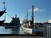 L'Islande, la Norvège et le Japon autorisent encore la chasse commerciale à la baleine.