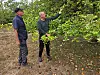 Les pommiers sont concernés par une chute prématurée des fruits.