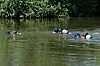 Un corps a été repêché dans la Moselle au niveau de La Maxe, jeudi 24 septembre. (Photo d’