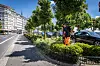 Les communes réfléchissent à reverdir leurs rues.