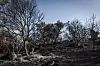 Plus de 500 personnes sont mobilisées afin d'éteindre l'incendie.
