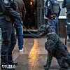 Deux maîtres-chiens accompagnés de leurs chiens de service ont participé à l'opération. (Police grand-ducale)