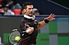 Novak Djokovic a souffert face à Ugo Humbert mais a fini par s'en sortir.