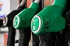 Des pistolets verts de pompe à carburant alignés dans une station-service