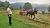 Serge Hermes, le préposé de la nature et des forêts, loue le travail des chevaux qui travaillent efficacement et attirent la curiosité des visiteurs.