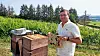 Les ruches de Miseler Bei sont souvent situées au cœur des vignes, comme ici au Primerberg, entre Stadtbredimus et Greiveldange.