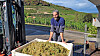 Bien que ce ne soit vraisemblablement pas eux qui en souffrent le plus actuellement, les vignerons comme Jeff Konsbrück ne sont pas épargnés par la crise économique.