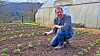 Dès le mois d’avril, on pourra venir cueillir son panier de fruits et légumes dans le jardin bio de Jeff Weydert à Osweiler, près d’Echternach.