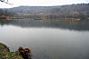 Des écrevisses de Louisiane ont colonisé le lac d’Echternach aux dépens des espèces locales. (Photos Hervé Montaigu)