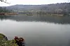 Des écrevisses de Louisiane ont colonisé le lac d’Echternach aux dépens des espèces locales. (Photos Hervé Montaigu)