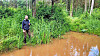 Grâce à la pluie et aux températures moyennes élevées (sauf en mai), la nature s’est vite installée dans les nouvelles mardelles du Rouscht.