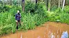 Grâce à la pluie et aux températures moyennes élevées (sauf en mai), la nature s’est vite installée dans les nouvelles mardelles du Rouscht.