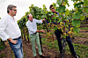 Roby Ley (au c.) a œuvré pour faire reconnaître la qualité des vins luxembourgeois.