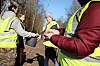 Des groupes de bénévoles vont aider les crapauds à traverser les routes pour éviter qu’ils soient écrasés.