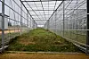 La volière à rapaces, qui sera aménagée dans les semaines à venir, fait environ 60 mètres de long.